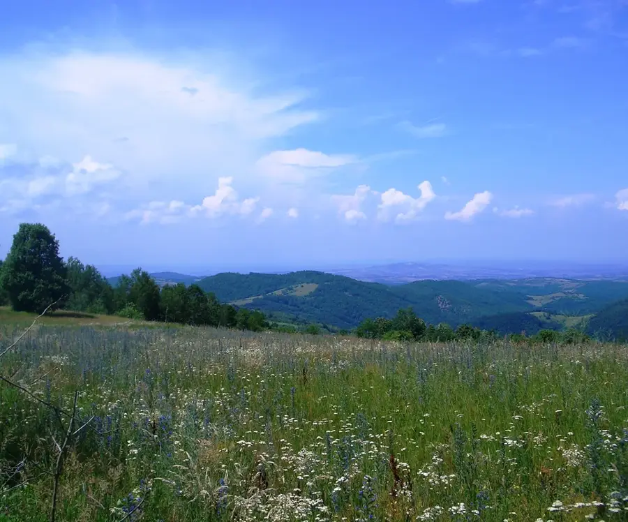 Vârful Crni Vrh — Chipul lui Decebal (România)
