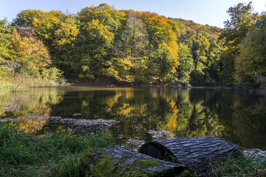 Parcul Național Fruška Gora — Sremska Mitrovica (Serbia)