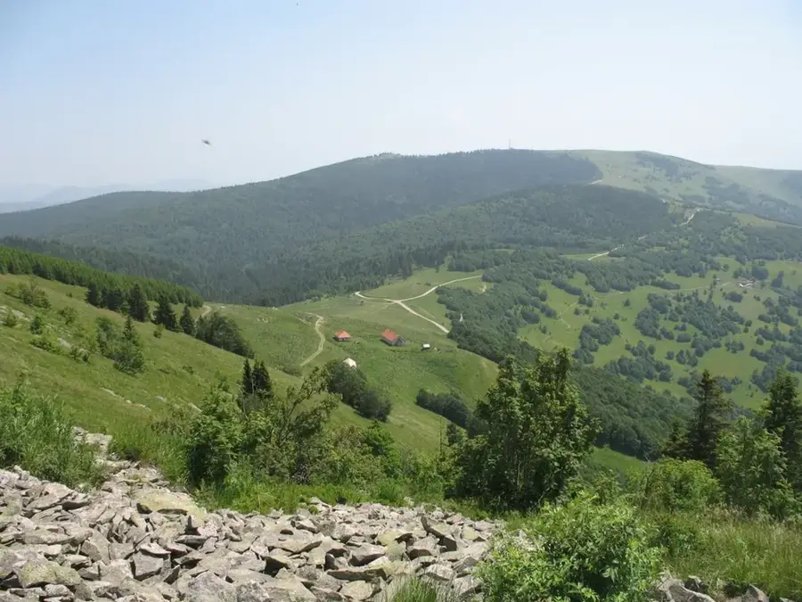 Golija — Prijepolje (Serbia)