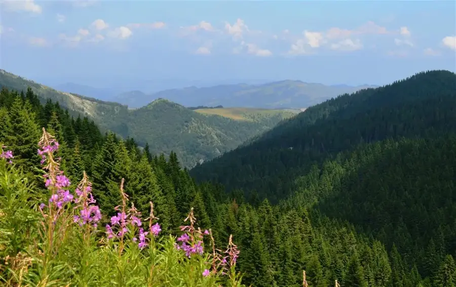 Kopaonik National Park — Krčmar (Serbia)