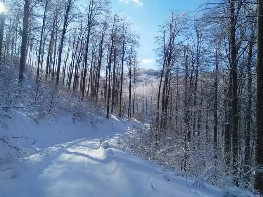 Radan — Leskovac (Szerbia)