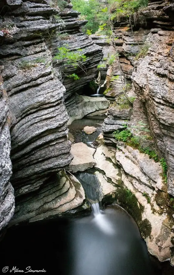 Kordžino