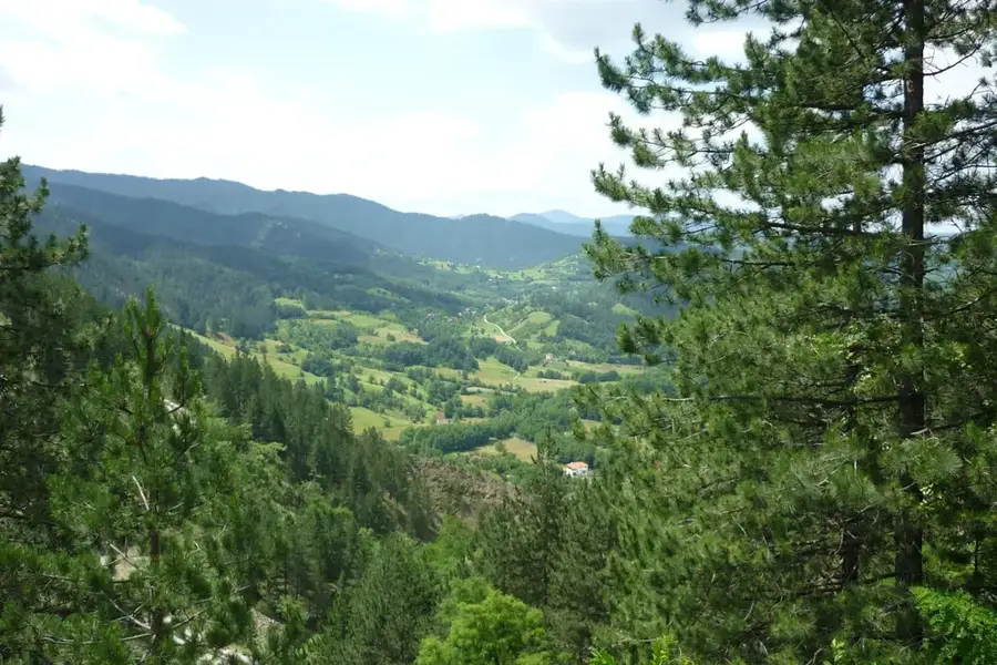 Tara National Park — Banjska Stena viewpoint (Serbia)