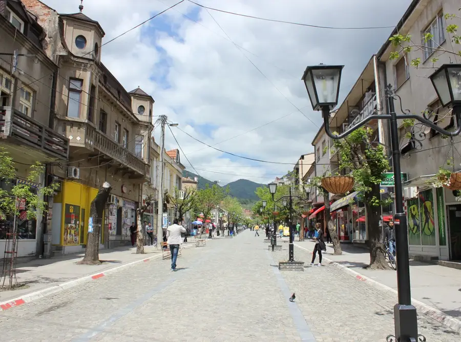 Vranje Textile Industry