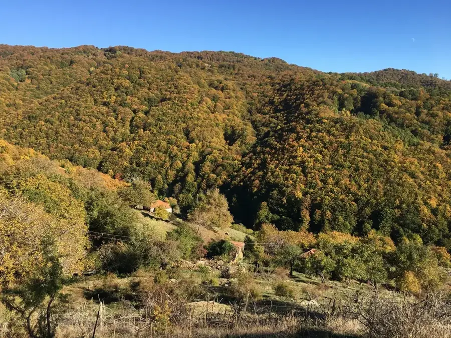 Vrteška — Bor (Serbia)