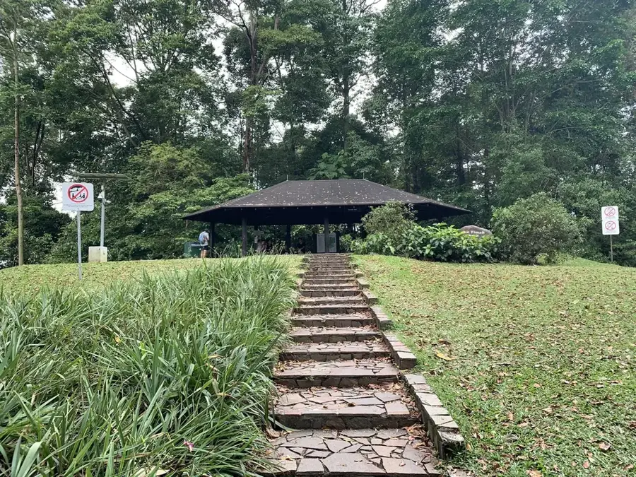 Naturschutzgebiet Bukit Timah — Bukit Timah (Singapur)