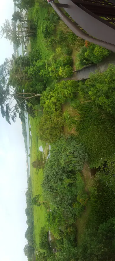 Kranji Lápvidék