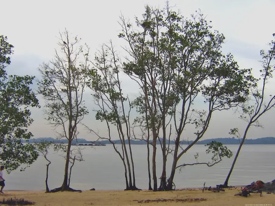 Pasir Ris Park — Pasir Ris (Singapur)