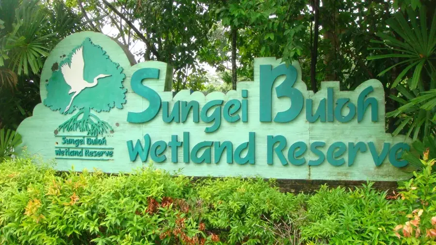 Sungei Buloh Feuchtgebietsreservat — Kranji-Stausee-Park (Singapur)