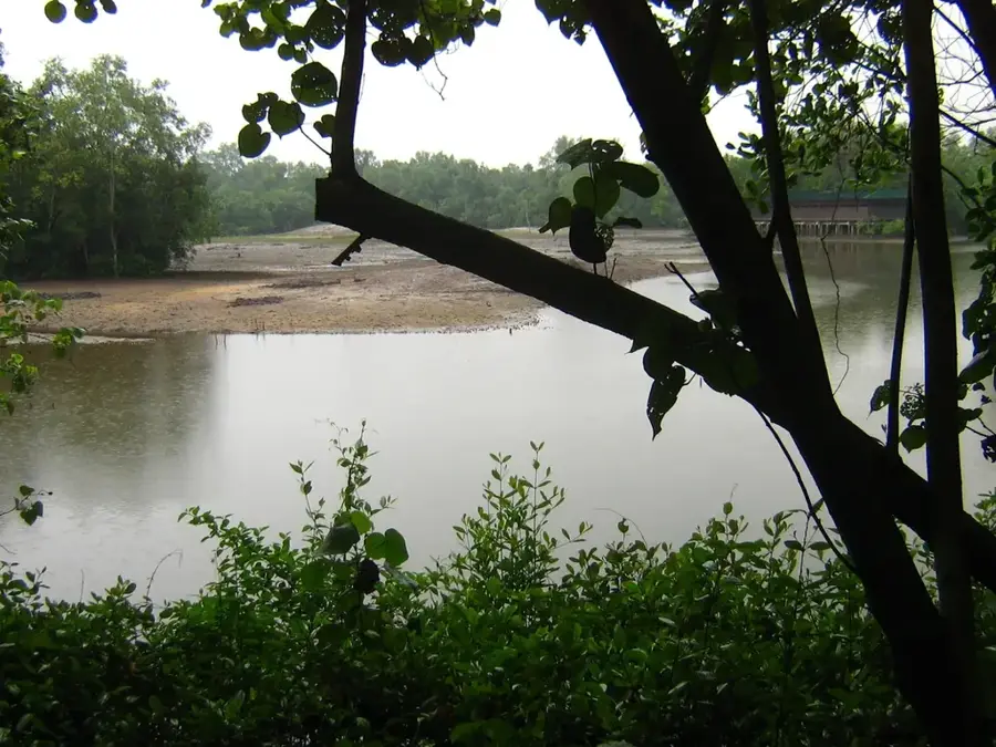 Sungei Buloh Vizes Élőhely Rezervátum