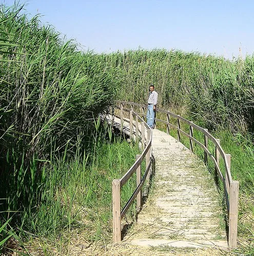 Shaumari Wildlife Reserve — Zarqa (Jordan)