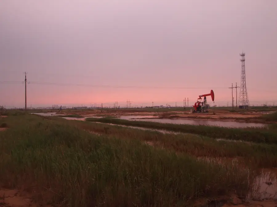 Câmpul Petrolier Shengli — Marea Bohai (China)