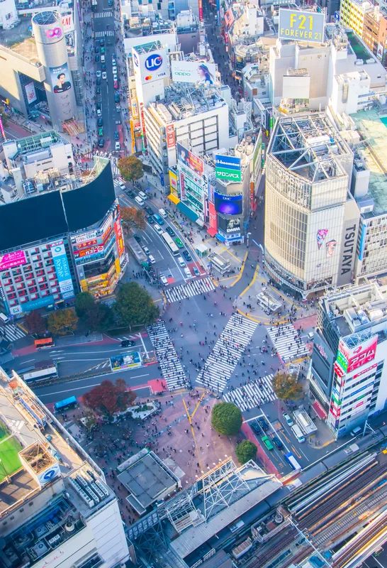 Intersecția Shibuya — Piața Exterioară Tsukiji (Japonia)