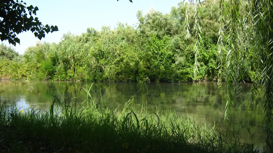 Schirwan-Nationalpark — Schlammvulkane (Aserbaidschan)