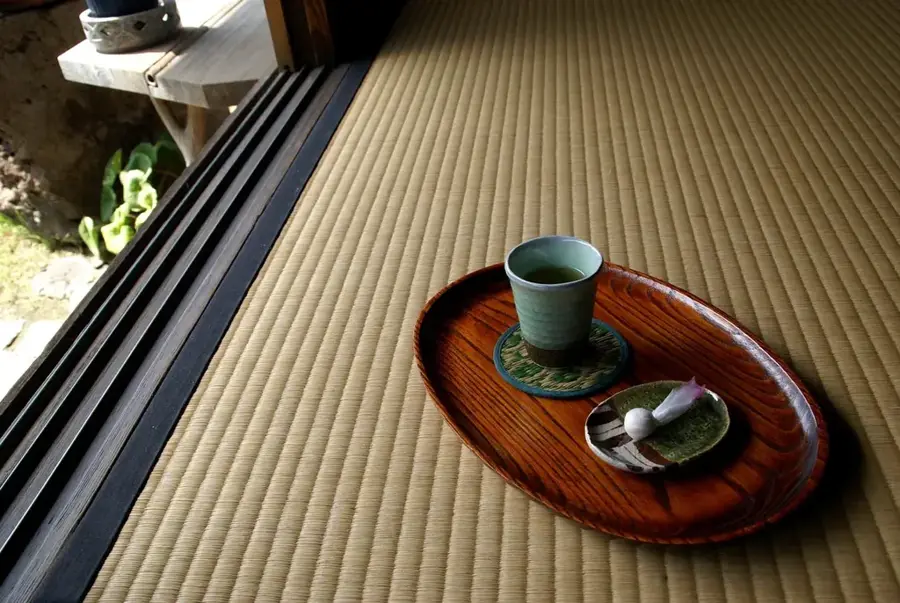 Shizuoka Teeplantagen — Fuji (Japan)
