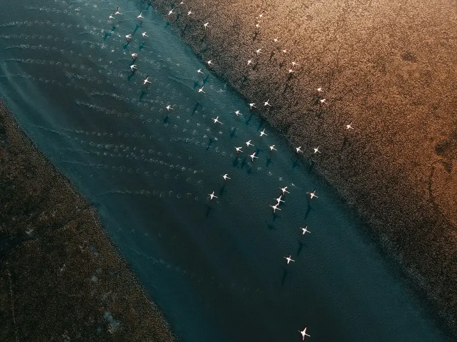 Hafen von Shuwaikh — Sulaibikhat (Kuwait)