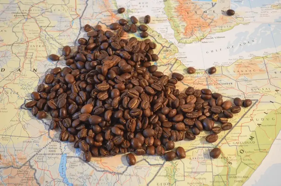 Sidamo-Kaffeeregion