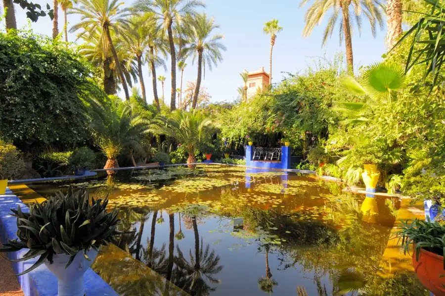 Botanischer Garten Sidi Bou Said — Radès (Tunesien)