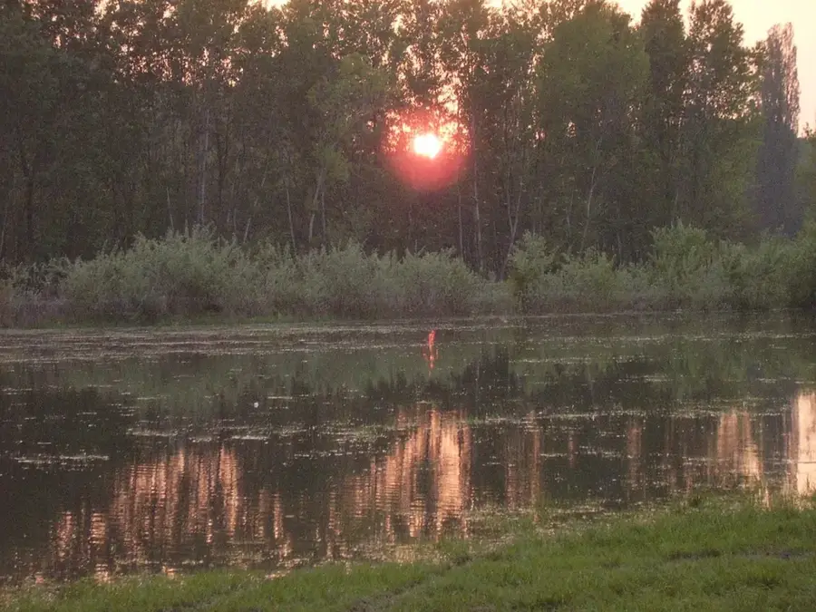 Danube Floodplains Protected Landscape Area — Jánossomorja (Hungary)