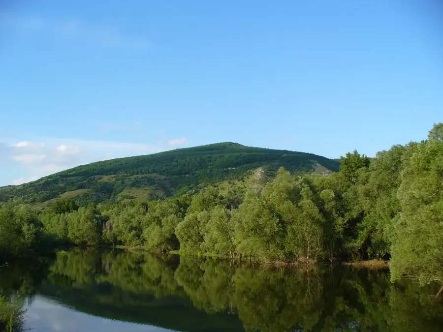 Devínska Kobyla Nature Reserve