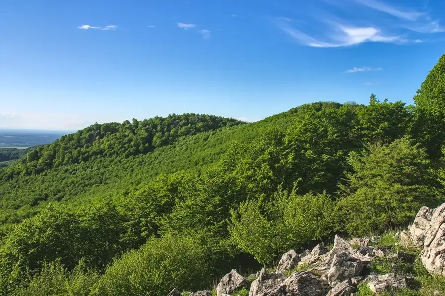 Little Carpathians