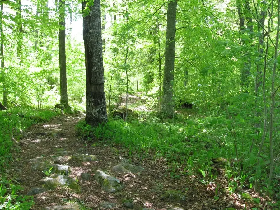 Šúr Nature Reserve — Rajka (Hungary)