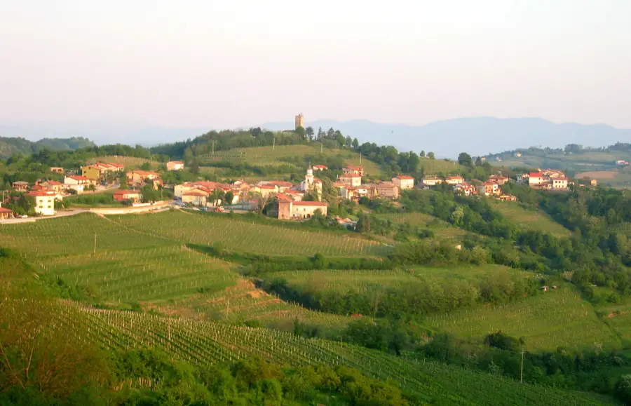 Brda