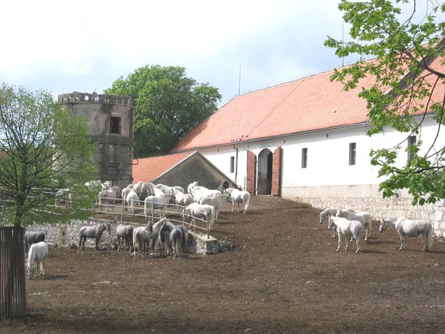 Lipica Stud Farm