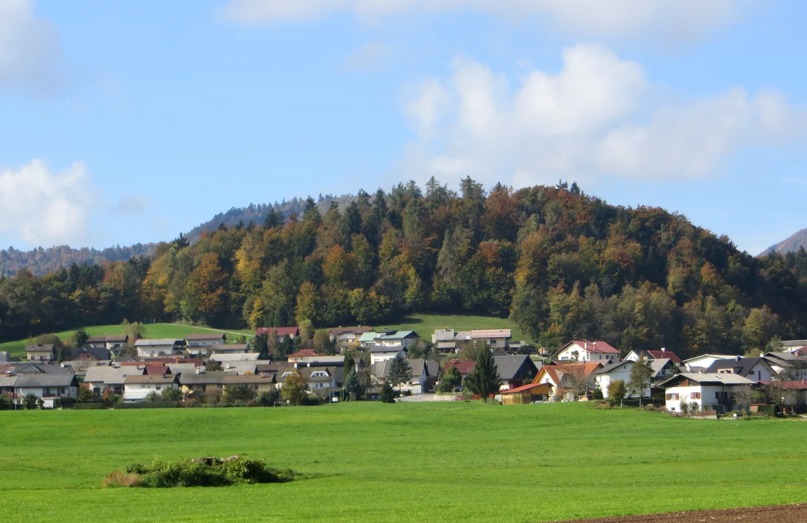 Medvode