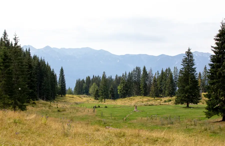 Pokljuka