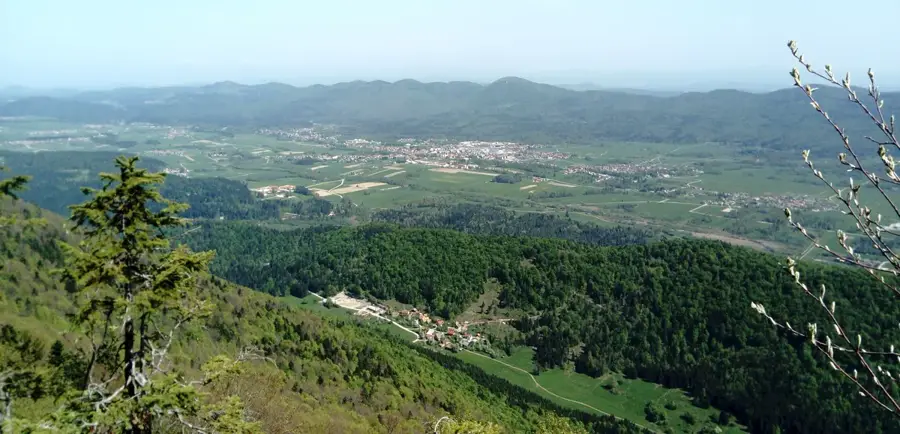 Ribnica Castle