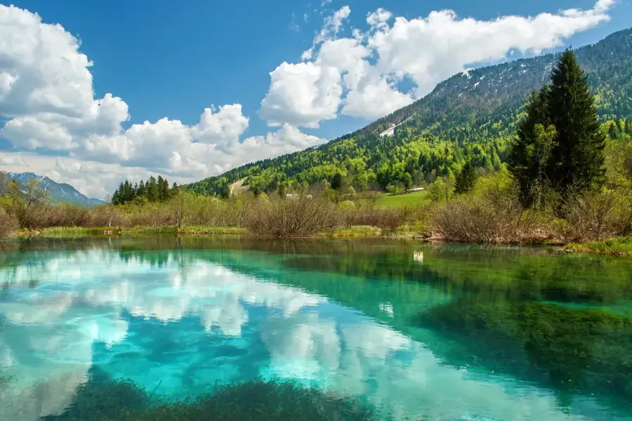 Zelenci Nature Reserve