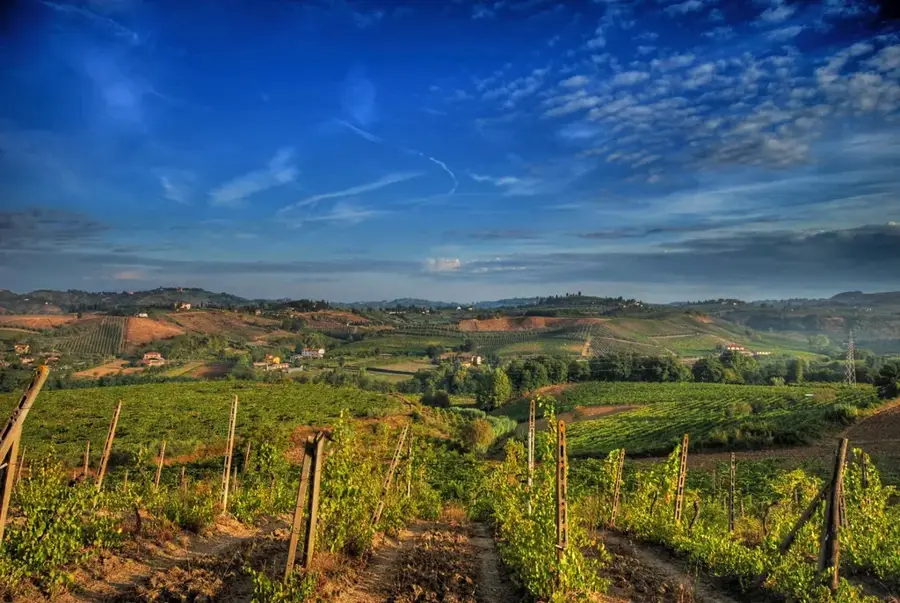 Konsortium für typische Weine von San Marino — San Marino Adventures (San Marino)