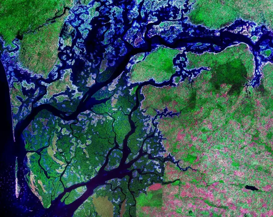 Heilige Stätte von Sangomar — Fathala-Reservat (Senegal)