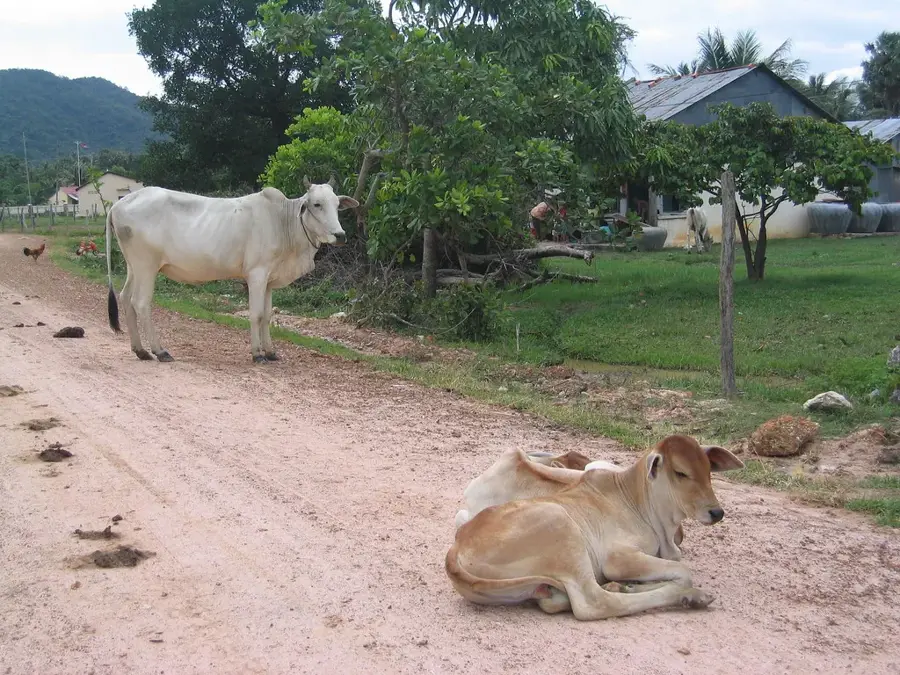 Sothys Pfefferfarm — Hà Tiên (Vietnam)