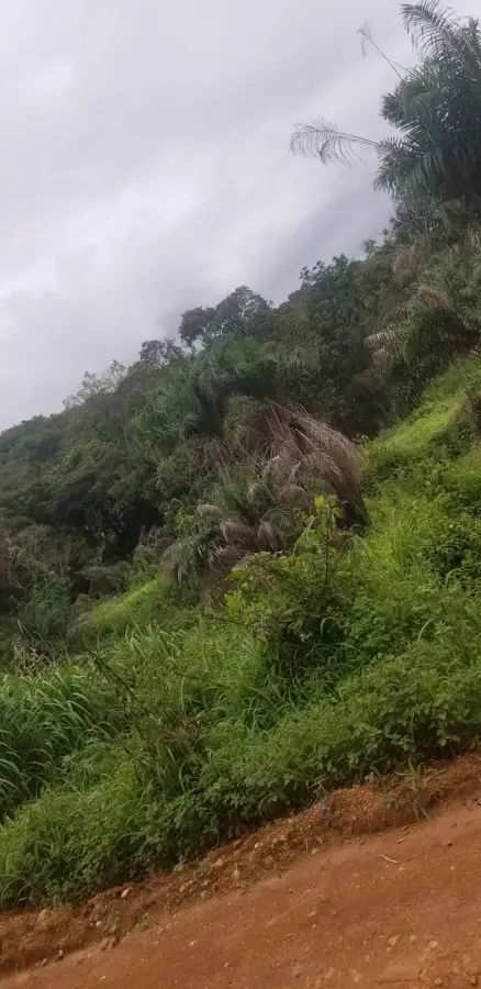 Souguéta — Mount Gangan (Guinea)