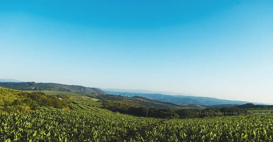 Hazyview — Tzaneen (Südafrika)