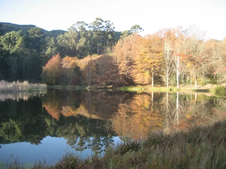 Hogsback