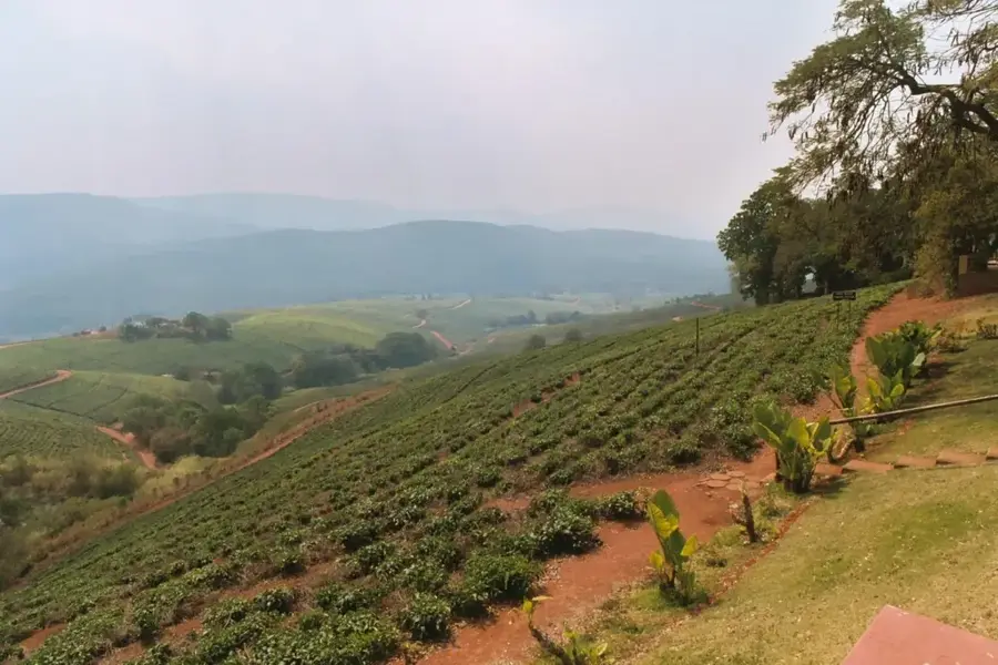 Tzaneen (Südafrika)