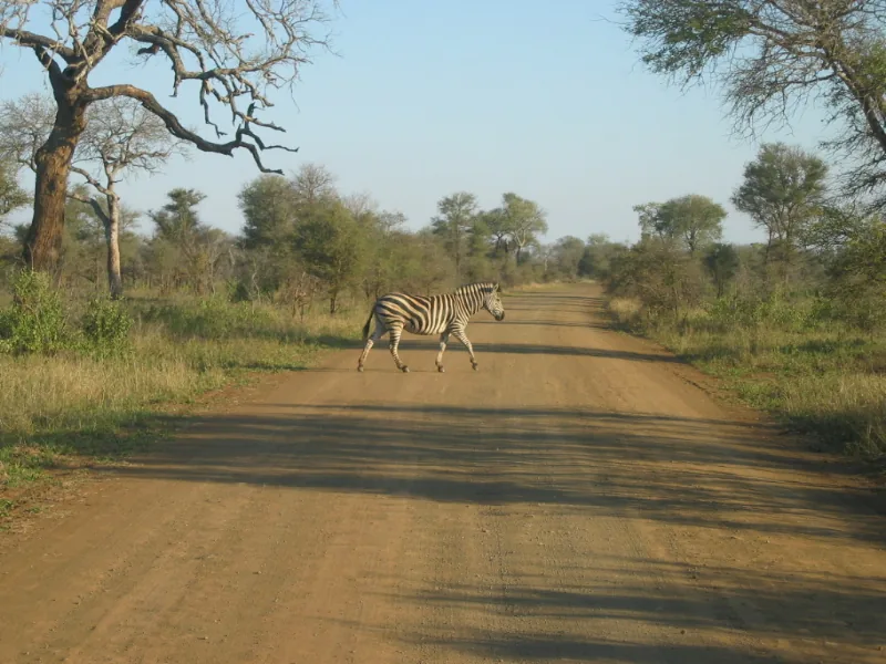 Süd-Nationalpark — Jur (Südsudan)