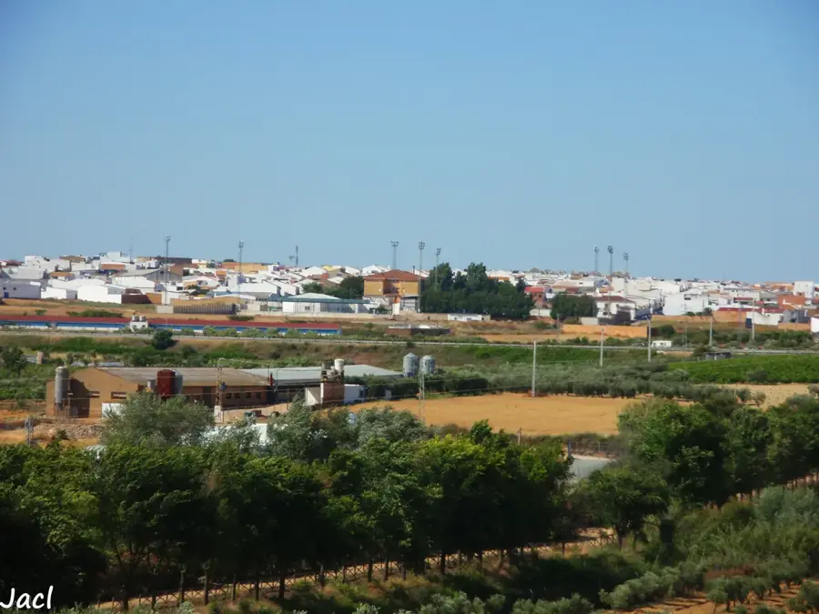 Bollullos par del Condado — Morogoro-Gemeindegarten (Tansania)