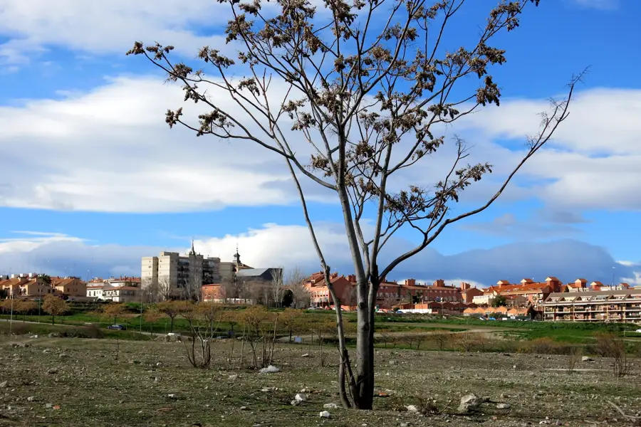 Ciempozuelos – Stadt