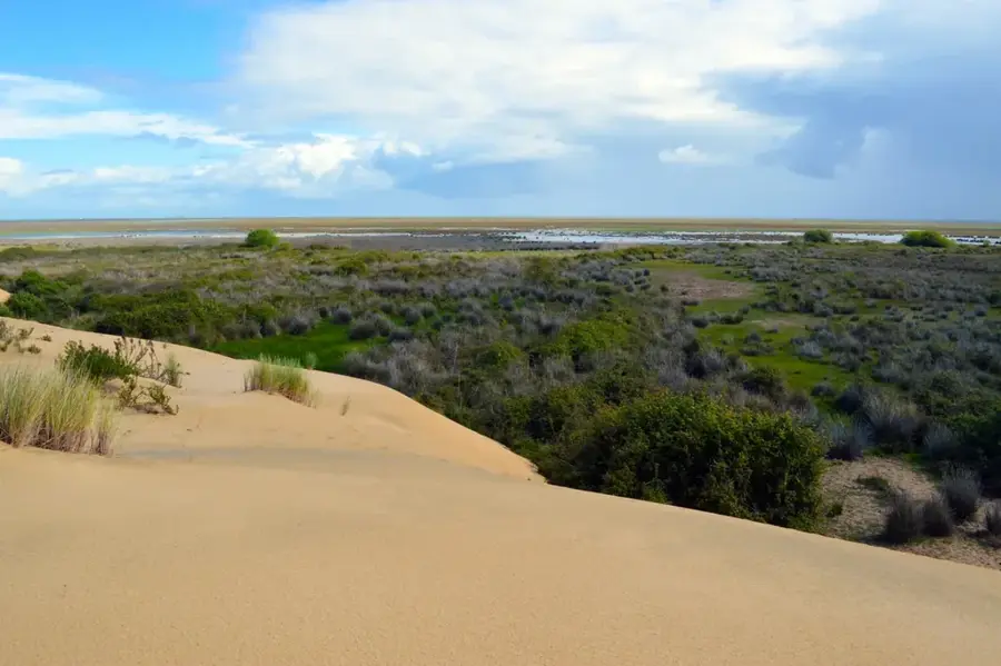 Doñana National Park