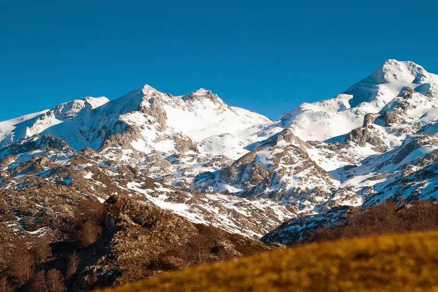 Picos de Europa