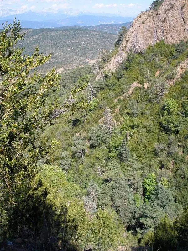 San Juan de la Peña – Sehenswürdigkeit