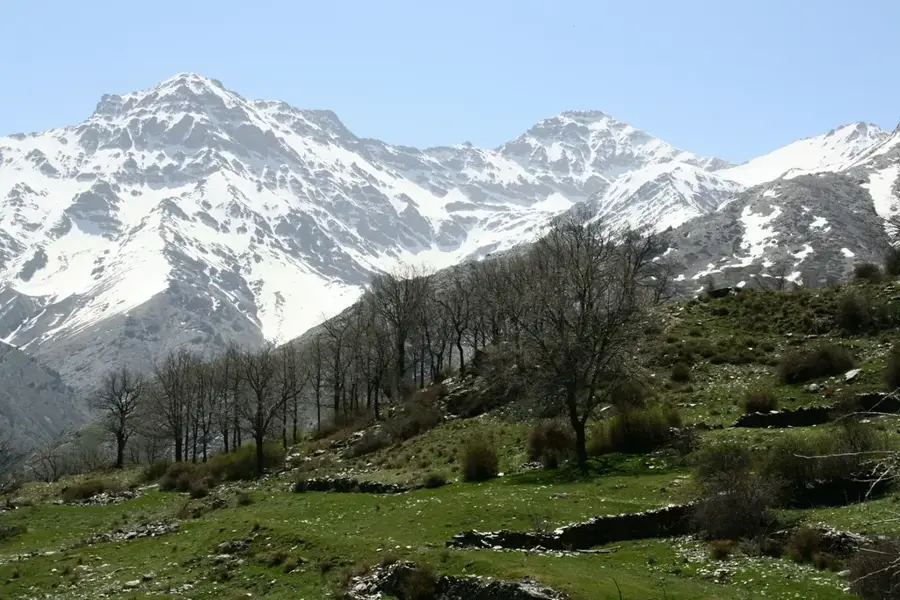 Sierra Nevada National Park — Moshi (Tanzania)