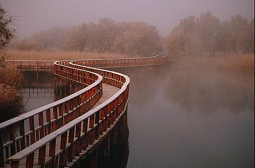 Nationalpark Tablas de Daimiel — Voi (Kenia)