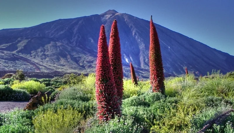 Teide National Park