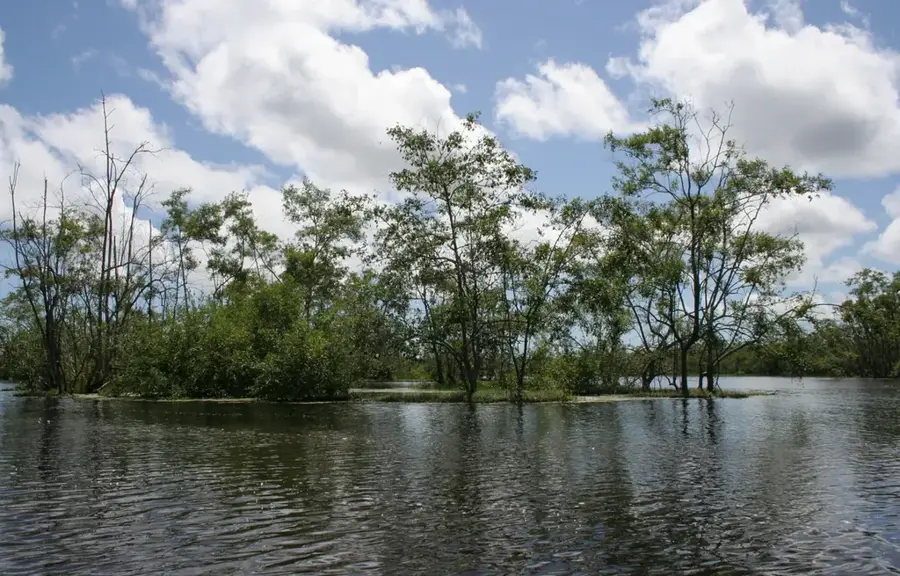 Bigi Pan Nature Reserve