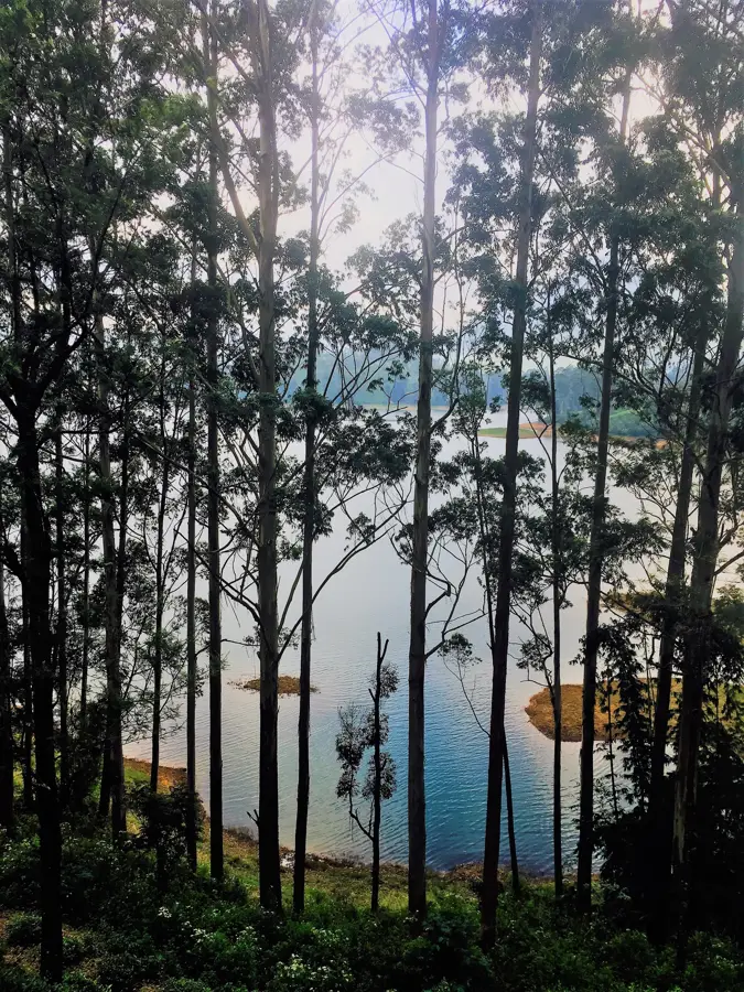 Maskeliya